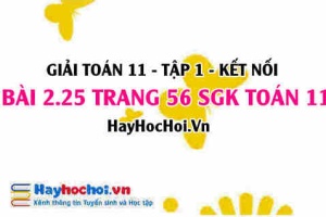Giải bài 2.25 trang 56 Toán 11 tập 1 SGK Kết nối tri thức